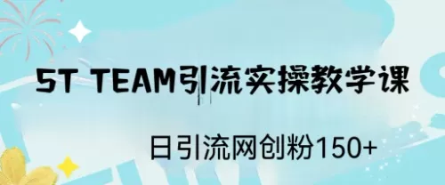 ST TEAM引流实操课，日引流网创粉100+-木子项目网