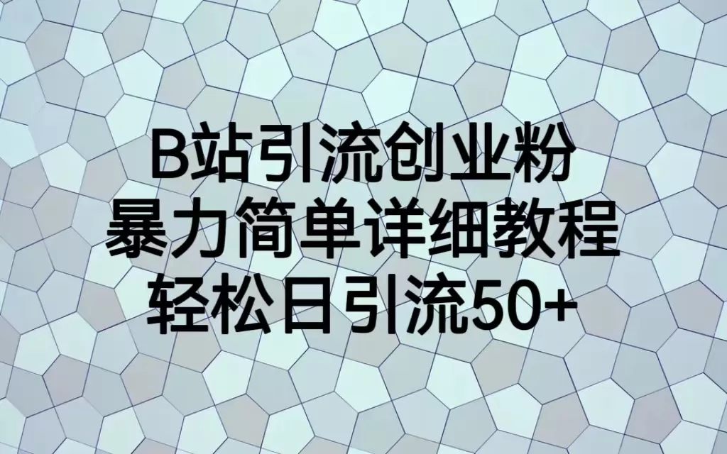 B站引流创业粉，暴力简单详细教程，轻松日引流50+-木子项目网