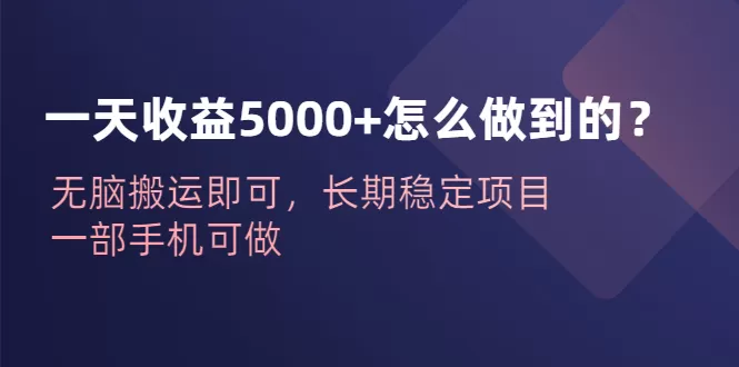 一天收益5000+怎么做到的？无脑搬运即可，长期稳定项目，一部手机可做-木子项目网