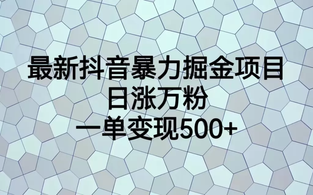 最新抖音暴力掘金项目，日涨万粉，一单变现500+-木子项目网