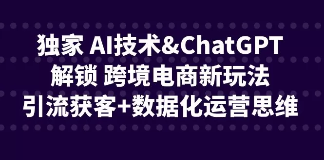 独家 AI技术&ChatGPT解锁 跨境电商新玩法，引流获客+数据化运营思维-木子项目网