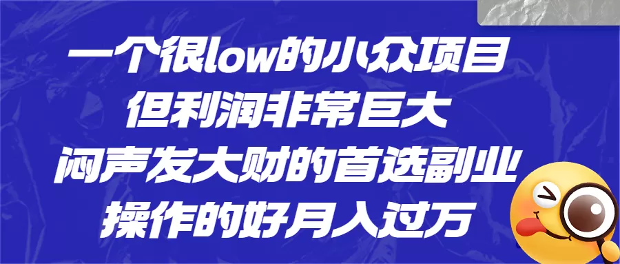 一个很low的小众项目，但利润非常巨大，闷声发大财的首选副业，月入过万-木子项目网