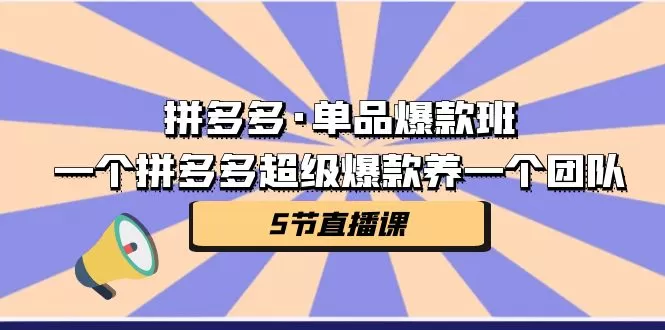 拼多多·单品爆款班，一个拼多多超级爆款养一个团队-木子项目网