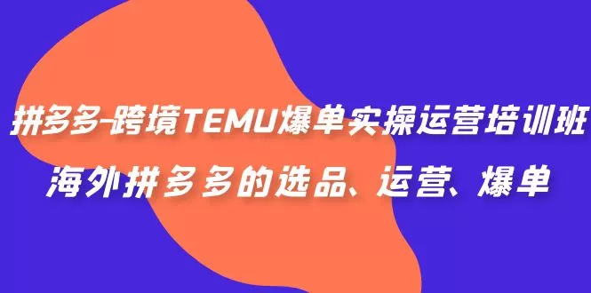 拼多多-跨境TEMU爆单实操运营培训班，海外拼多多的选品、运营、爆单-木子项目网