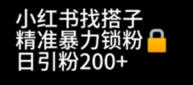 小红书找搭子暴力精准锁粉+引流日引200+精准粉-木子项目网