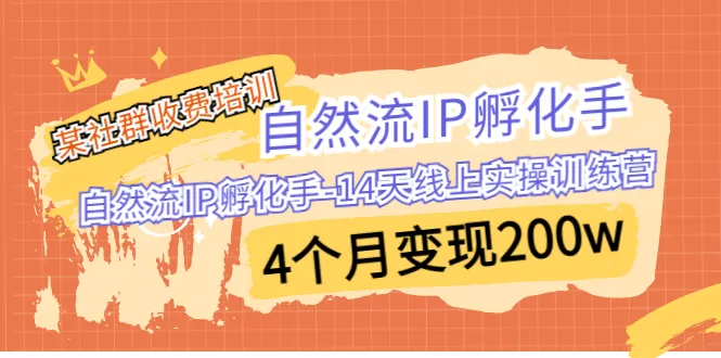 某社群收费培训：自然流IP 孵化手-14天线上实操训练营 4个月变现200w-木子项目网