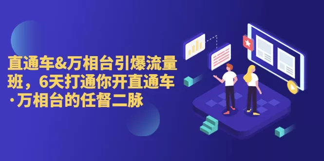 直通车+万相台引爆流量班，6天打通你开直通车·万相台的任督 二脉-木子项目网