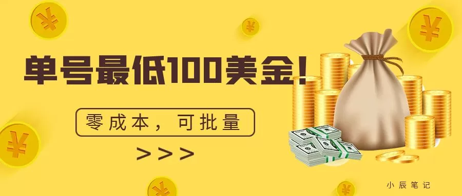 单号最低100美金，零成本，小白无脑操作。可复制，可扩大-木子项目网