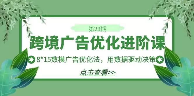 跨境广告·优化进阶课·第23期，8*15数模广告优化法，用数据驱动决策-木子项目网