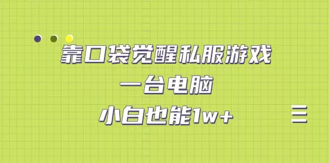 口袋觉醒私服游戏，一台电脑，小白也能1w+（教程+工具+资料）-木子项目网