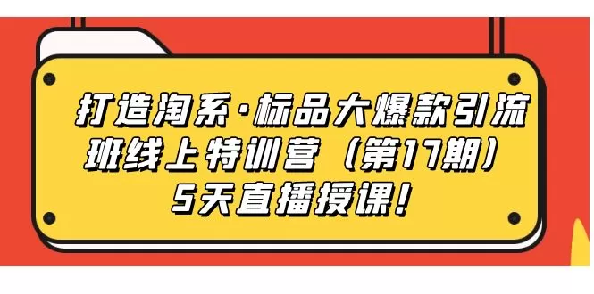 打造淘系·标品大爆款引流班线上特训营（第17期）5天直播授课-木子项目网