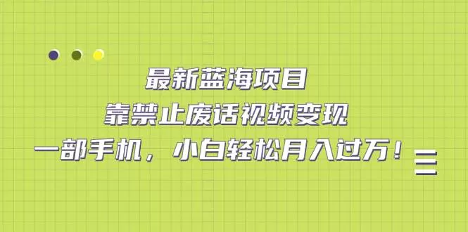 最新蓝海项目，靠禁止废话视频变现，一部手机，小白轻松月入过万-木子项目网