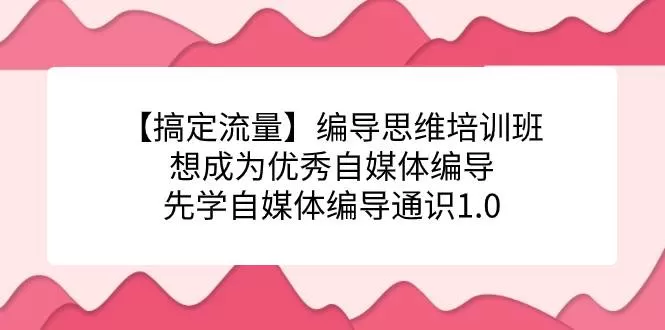 【搞定流量】编导思维培训班，想成为优秀自媒体编导先学自媒体编导通识1.0-木子项目网