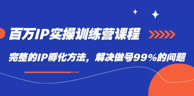 百万IP实战训练营课程，完整的IP孵化方法，解决做号99%的问题-木子项目网