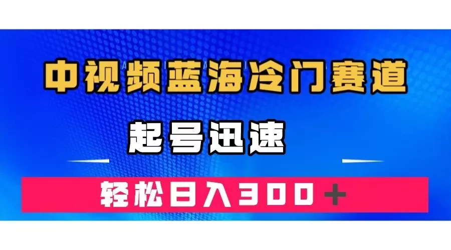 中视频蓝海冷门赛道，韩国视频奇闻解说，起号迅速，日入300＋-木子项目网