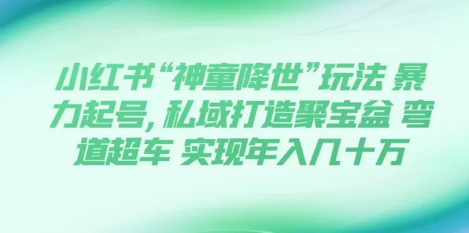 小红书“神童降世”玩法 暴力起号,私域打造聚宝盆 弯道超车 实现年入几十万-木子项目网