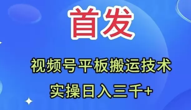 全网首发：视频号平板搬运技术，实操日入三千＋-木子项目网