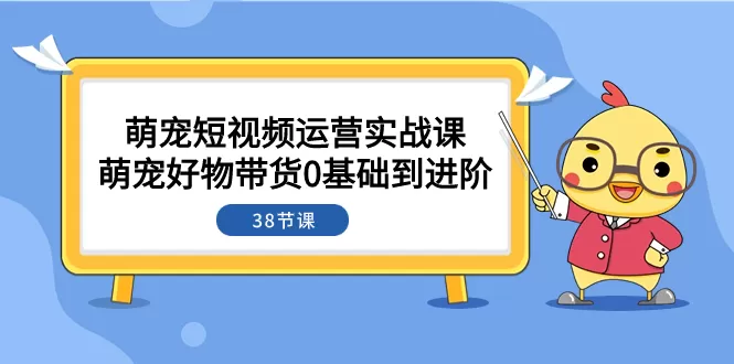 萌宠·短视频运营实战课：萌宠好物带货0基础到进阶（38节课）-木子项目网