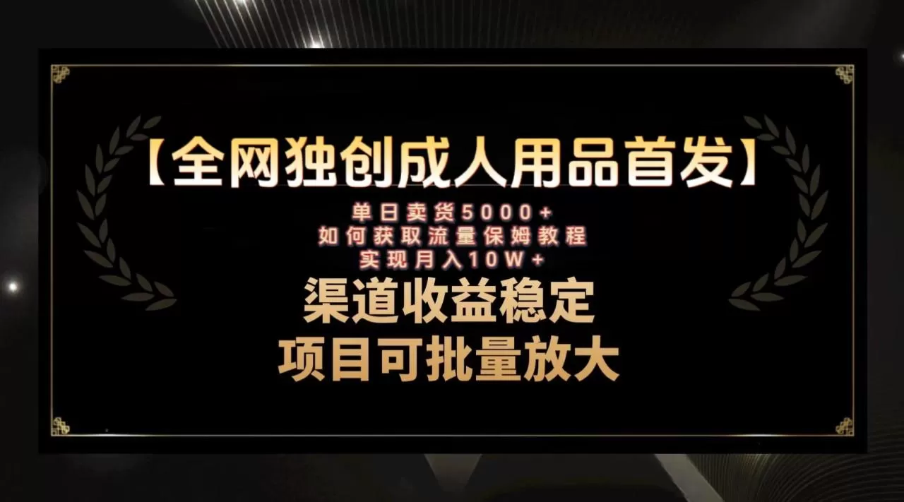 最新全网独创首发，成人用品赛道引流获客，月入10w保姆级教程-木子项目网