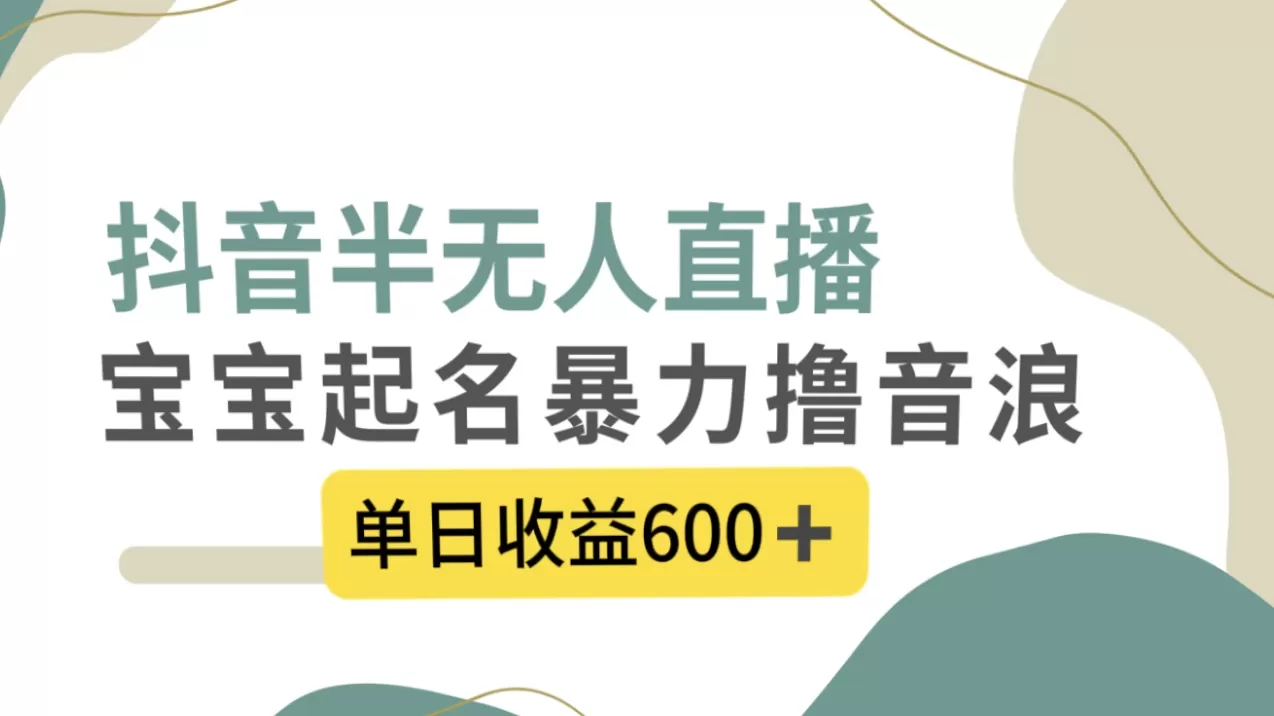 抖音半无人直播，宝宝起名，暴力撸音浪，单日收益600+-木子项目网