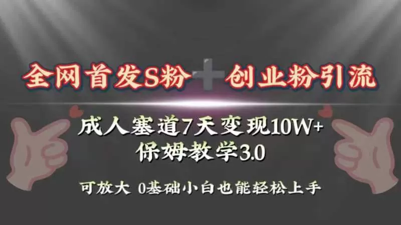 全网首发s粉加创业粉引流变现，成人用品赛道7天变现10w+保姆教学3.0-木子项目网
