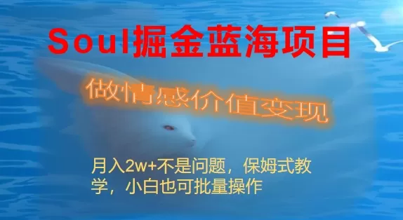 Soul掘金蓝海项目细分赛道，做情感价值变现，月入2w+不是问题-木子项目网