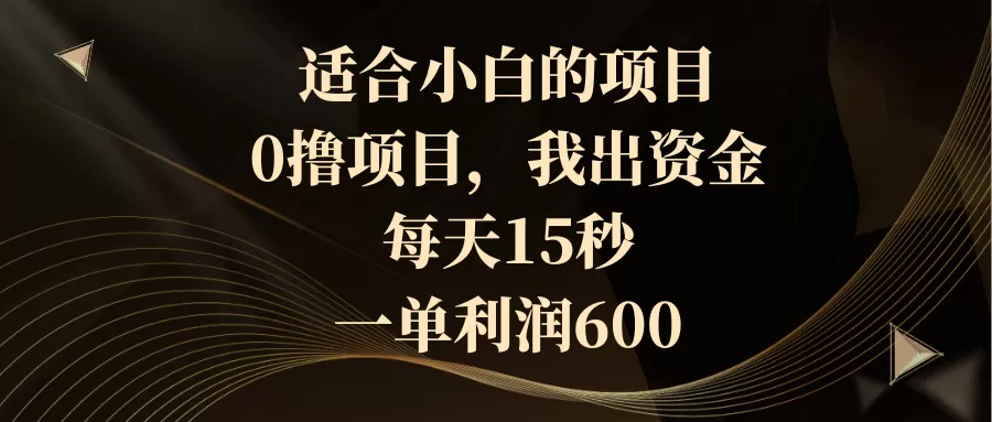 适合小白的项目，0撸项目，我出资金，每天15秒，一单利润600-木子项目网