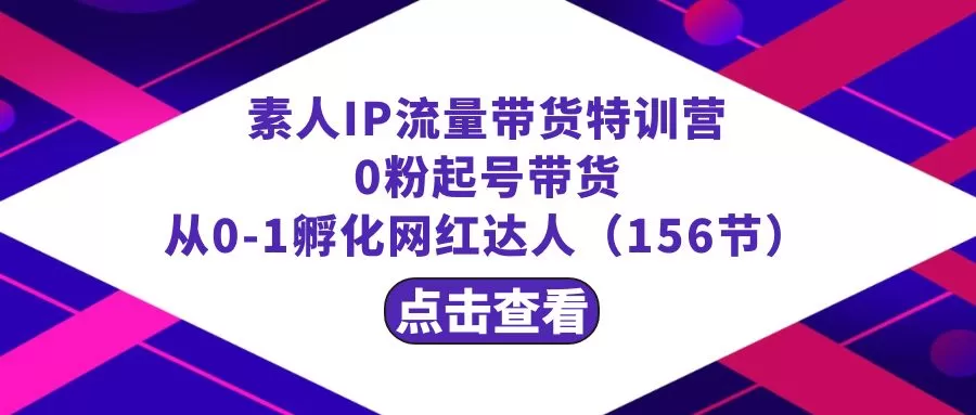 繁星·计划素人IP流量带货特训营：0粉起号带货 从0-1孵化网红达人-木子项目网