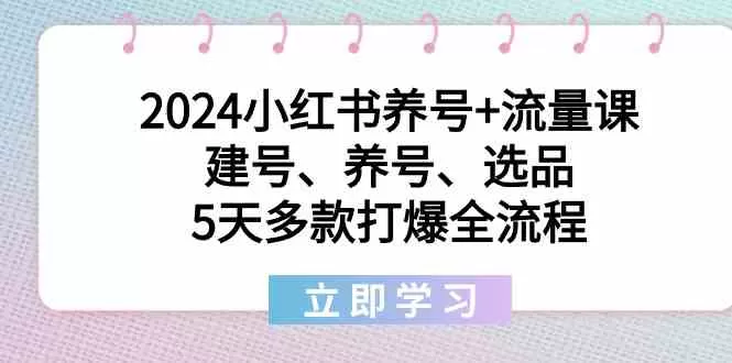 2024小红书养号+流量课：建号、养号、选品，5天多款打爆全流程-木子项目网