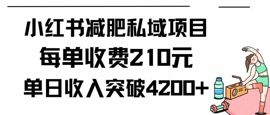 小红书减肥私域项目每单收费210元单日成交20单，最高日入4200+-木子项目网