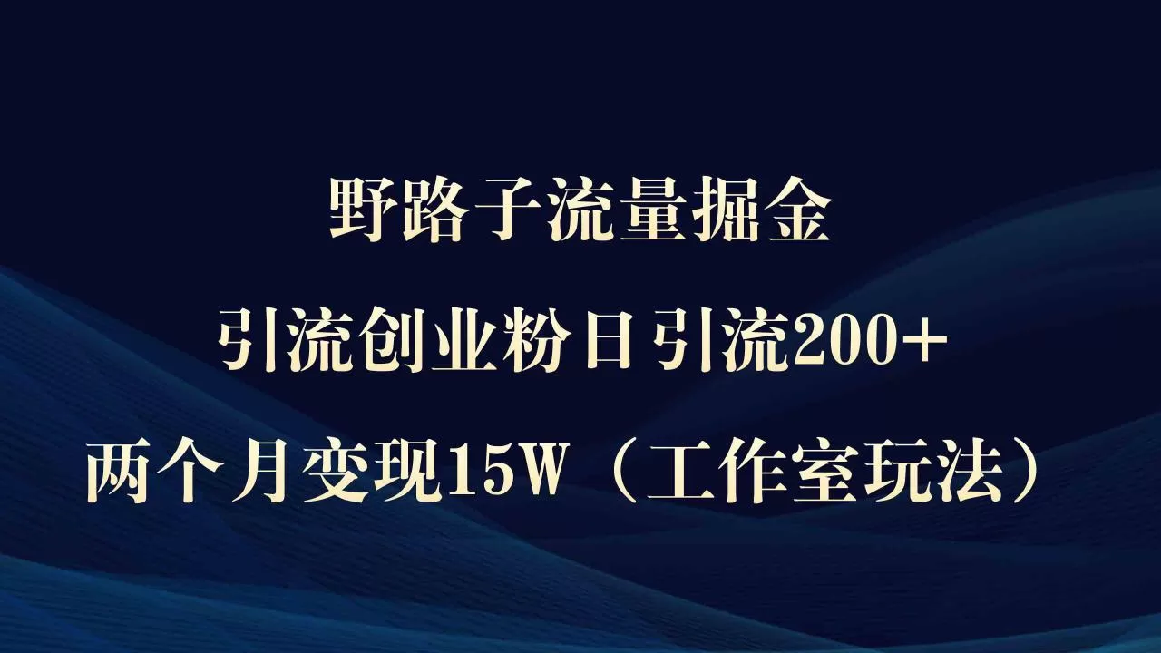 野路子流量掘金，引流创业粉日引流200+-木子项目网