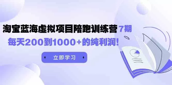 《淘宝蓝海虚拟项目陪跑训练营7期》每天200到1000+的纯利润-木子项目网