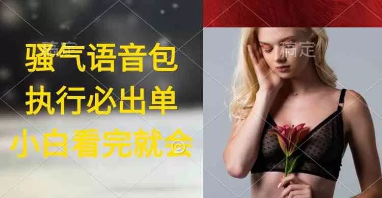 超火骚气语音包，执行就出单，小白看完课程就能马上实操-木子项目网