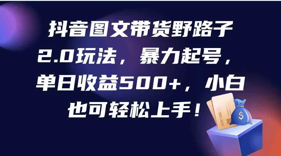 抖音图文带货野路子2.0玩法，暴力起号，单日收益500+，小白也可轻松上手-木子项目网