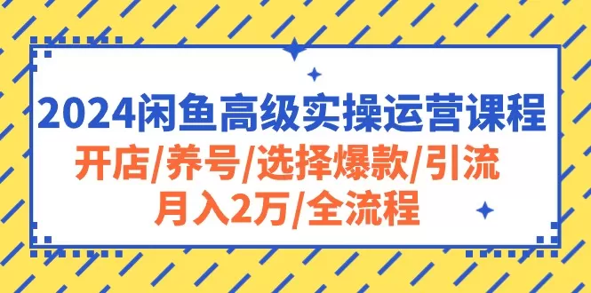 2024闲鱼高级实操运营课程：开店/养号/选择爆款/引流/月入2万/全流程-木子项目网