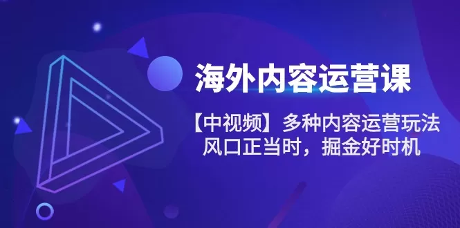 海外内容 运营课【中视频】多种内容运营玩法 风口正当时 掘金好时机-木子项目网