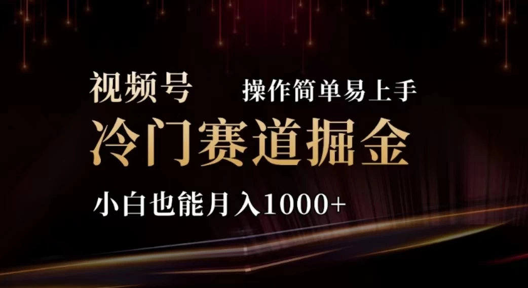 2024视频号冷门赛道掘金，操作简单轻松上手，小白也能月入1000+-木子项目网