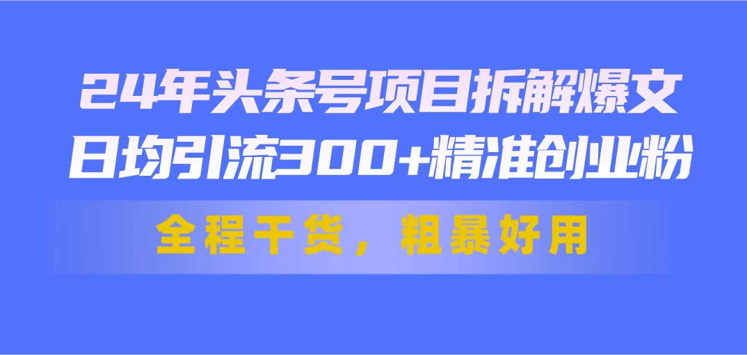 24年头条号项目拆解爆文，日均引流300+精准创业粉，全程干货，粗暴好用-木子项目网