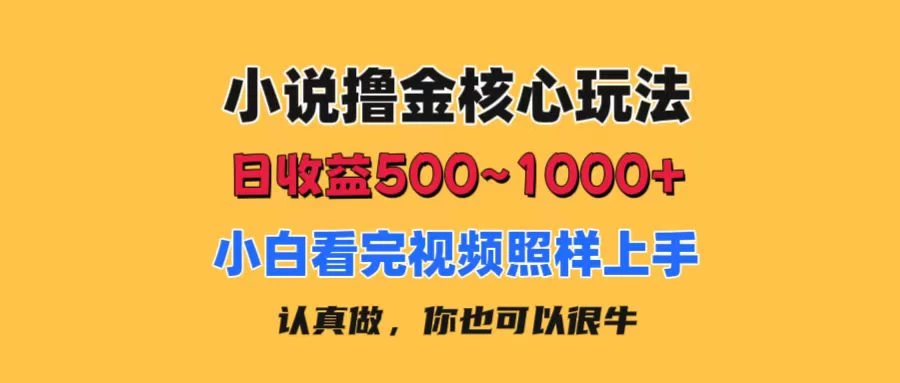 小说撸金核心玩法，日收益500-1000+，小白看完照样上手，0成本有手就行-木子项目网