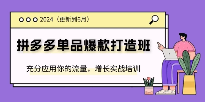 2024拼多多-单品爆款打造班(更新6月)，充分应用你的流量，增长实战培训-木子项目网