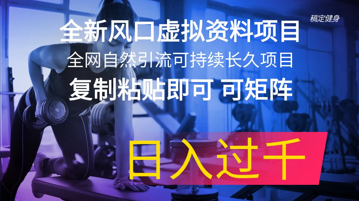 全新风口虚拟资料项目 全网自然引流可持续长久项目-木子项目网