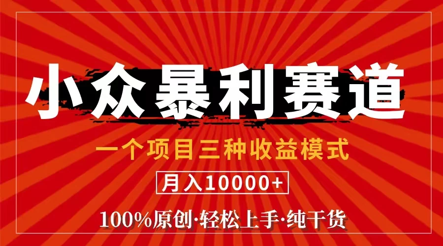 视频号【中老年粉深信不疑】小众赛道 100%原创 手把手教学 新号3天收益-木子项目网