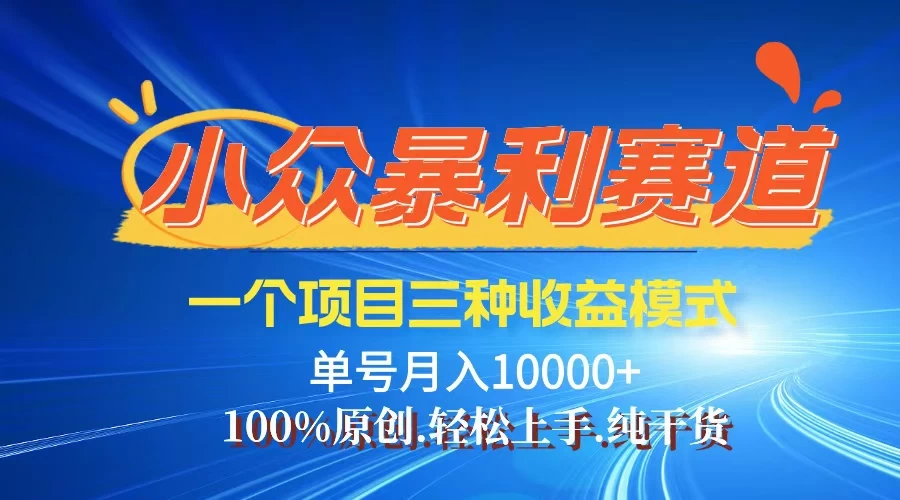 【老人言】-视频号爆火赛道，三种变现方式，0粉新号调调爆款-木子项目网