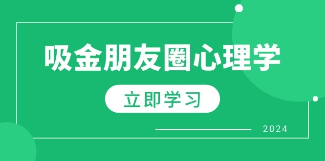 朋友圈吸金心理学：揭秘心理学原理，增加业绩，打造个人IP与行业权威-木子项目网