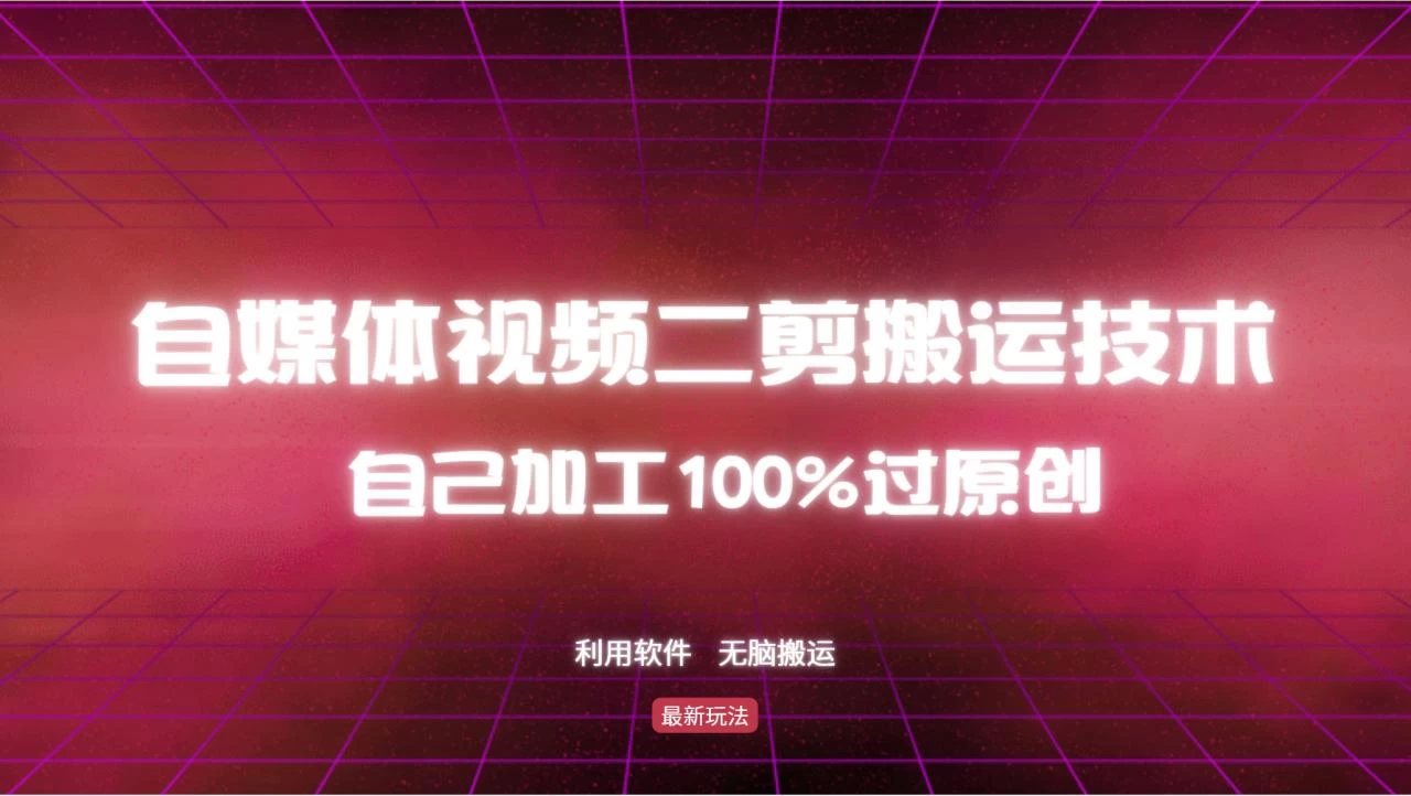 详细教你自媒体视频二剪搬运技术，自己加工100%过原创，无脑搬运-木子项目网