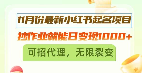 11月份最新小红书起名项目，抄作业就能日变现1000+，可招代理，无限裂变-木子项目网