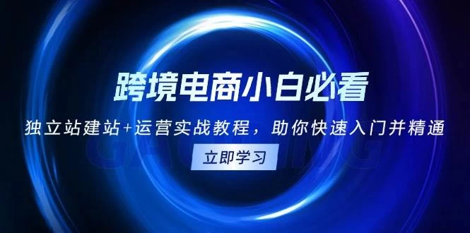 跨境电商小白必看！独立站建站+运营实战教程，助你快速入门并精通-木子项目网