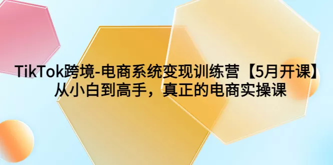 TikTok跨境-电商系统变现训练营【5月新课】从小白到高手，真正的电商实操课-木子项目网