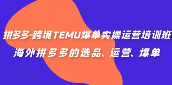 图片[1]-拼多多-跨境TEMU爆单实操运营培训班，海外拼多多的选品、运营、爆单-木子项目网