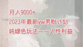 月入9000+2023年9月最新yw男粉计划绿色玩法——人性之利益-木子项目网